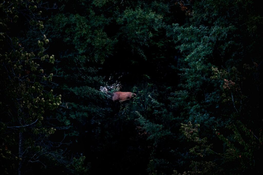 09-180923062750-DSC_0967-Modifica