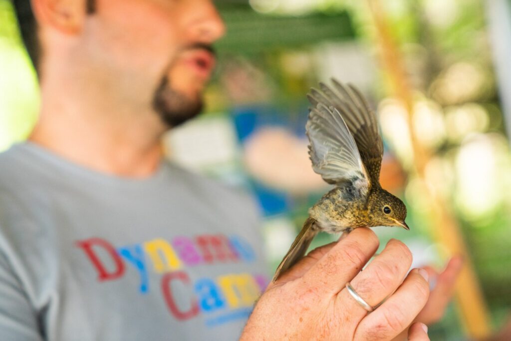 16-190802115943-04190802115943-DSC09731