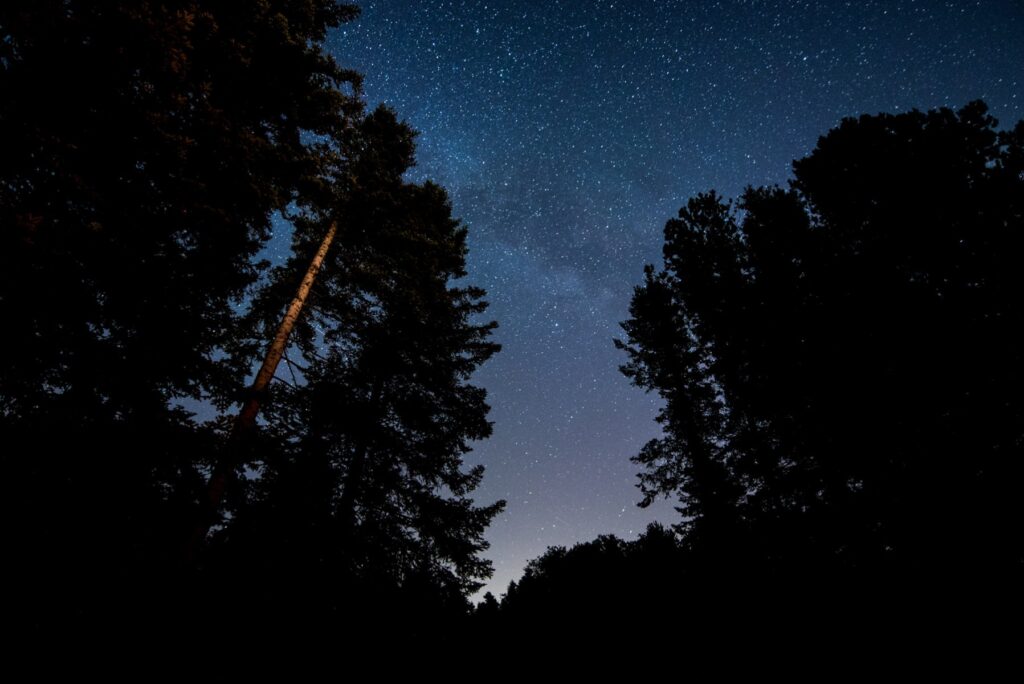 25-190730212402-14190730212402-DSC_9965