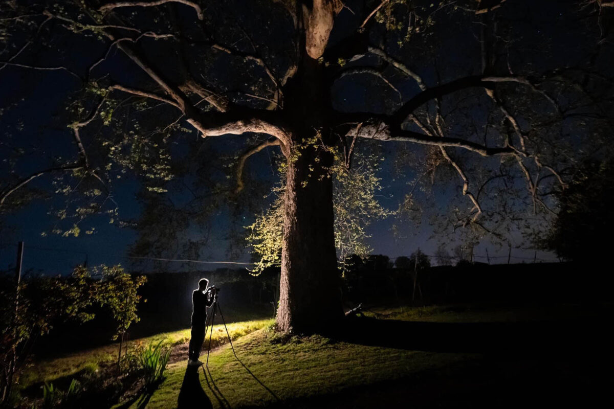 Italia 2024, su un nuovo progetto su commissione Italia 2024, su un nuovo progetto su commissione