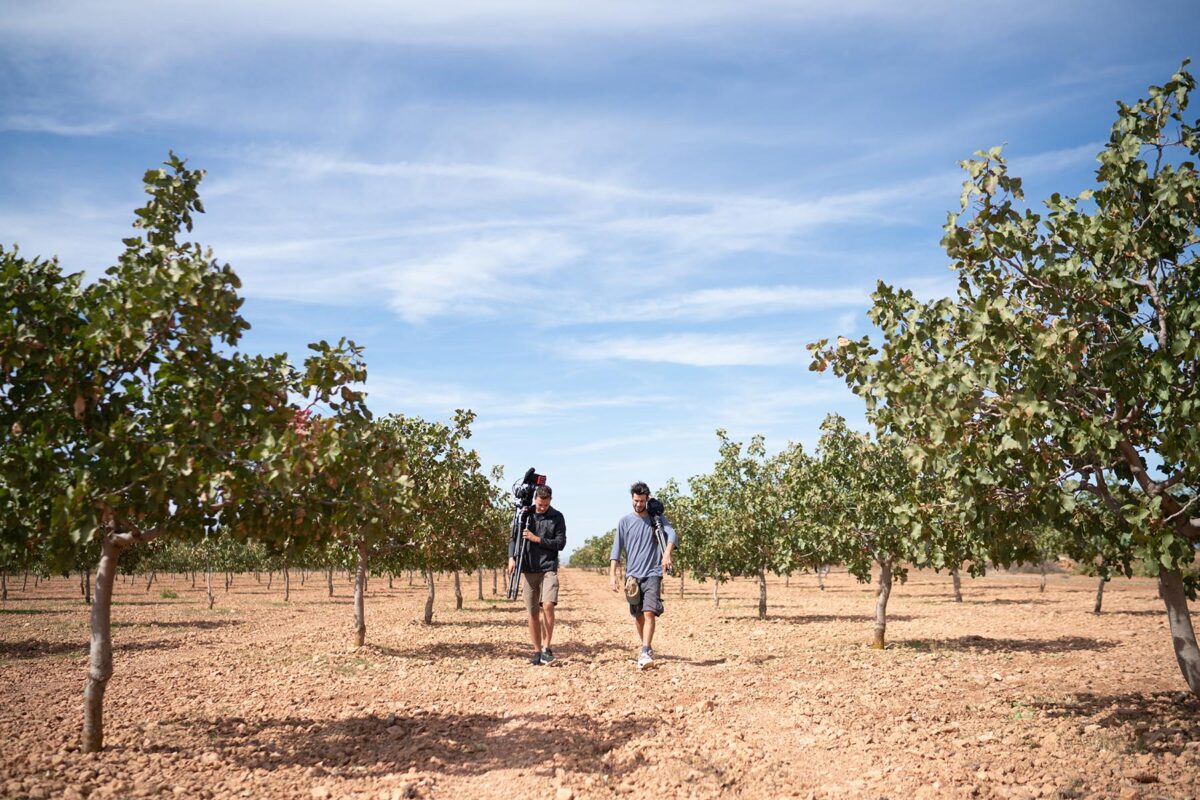 Navalmoral de la Mata, Spagna 2019, su incarico di Euro Company. Navalmoral de la Mata, Spagna 2019, su incarico di Euro Company.