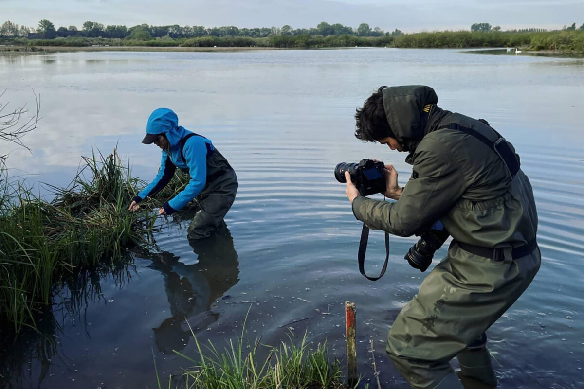 Mincio, Italia 2020, su incarico di Selvatiq. Mincio, Italia 2020, su incarico di Selvatiq.