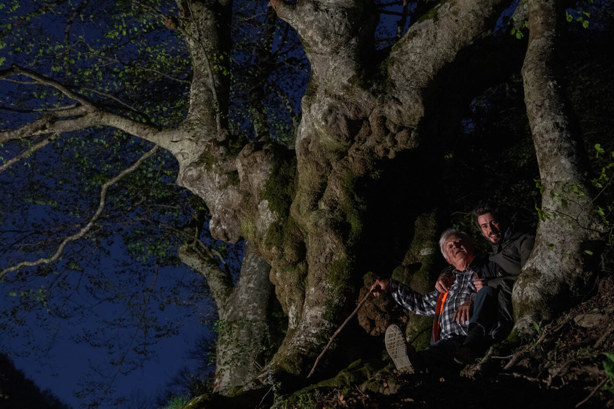 Verghereto, Italia 2022, Ottantuno, un progetto personale sugli alberi. Verghereto, Italia 2022, Ottantuno, un progetto personale sugli alberi.