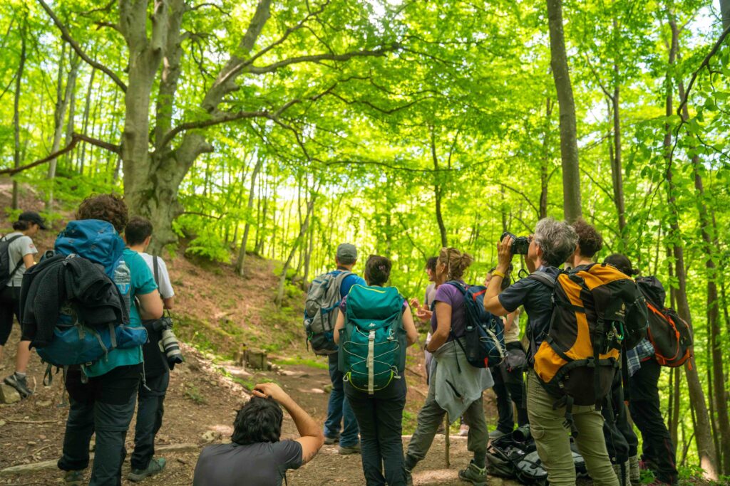 ImmagineTerra_IsaccoEmiliani_MatteoLuciani017-01-DSC06484