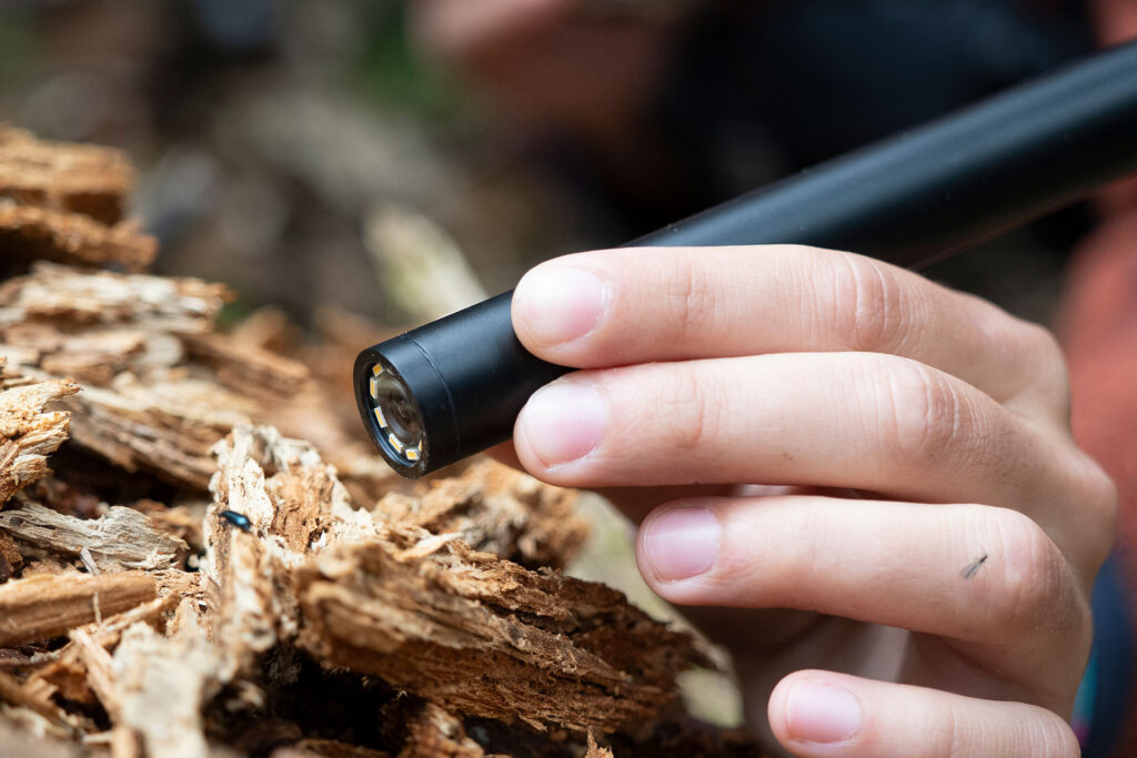 ImmagineTerra_IsaccoEmiliani_MatteoLuciani022-_SLO0200