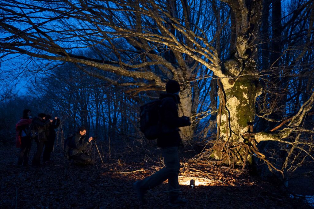 ImmagineTerra_IsaccoEmiliani_MatteoLuciani043-_1010882