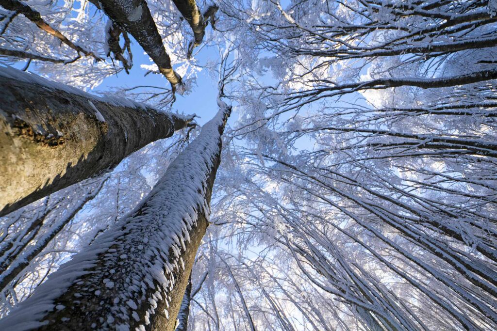 ImmagineTerra_IsaccoEmiliani_MatteoLuciani_001-1. _