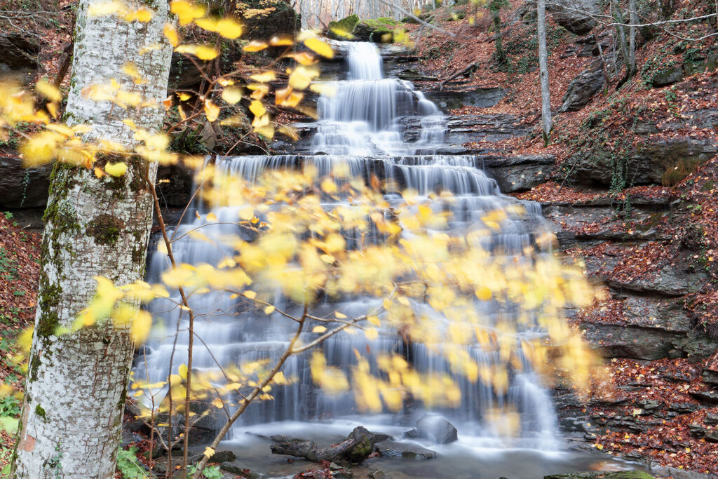 ImmagineTerra_IsaccoEmiliani_MatteoLuciani_1010627