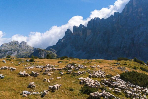 Camminare l’Italia